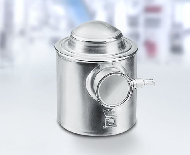 Loadcell xe tải Pendeo Truck